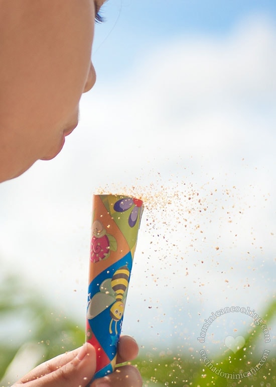 Gofio (Sugary Corn Powder)