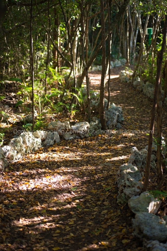 PuntaCana Ecological Reserve