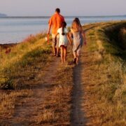 Danish Summer Walk