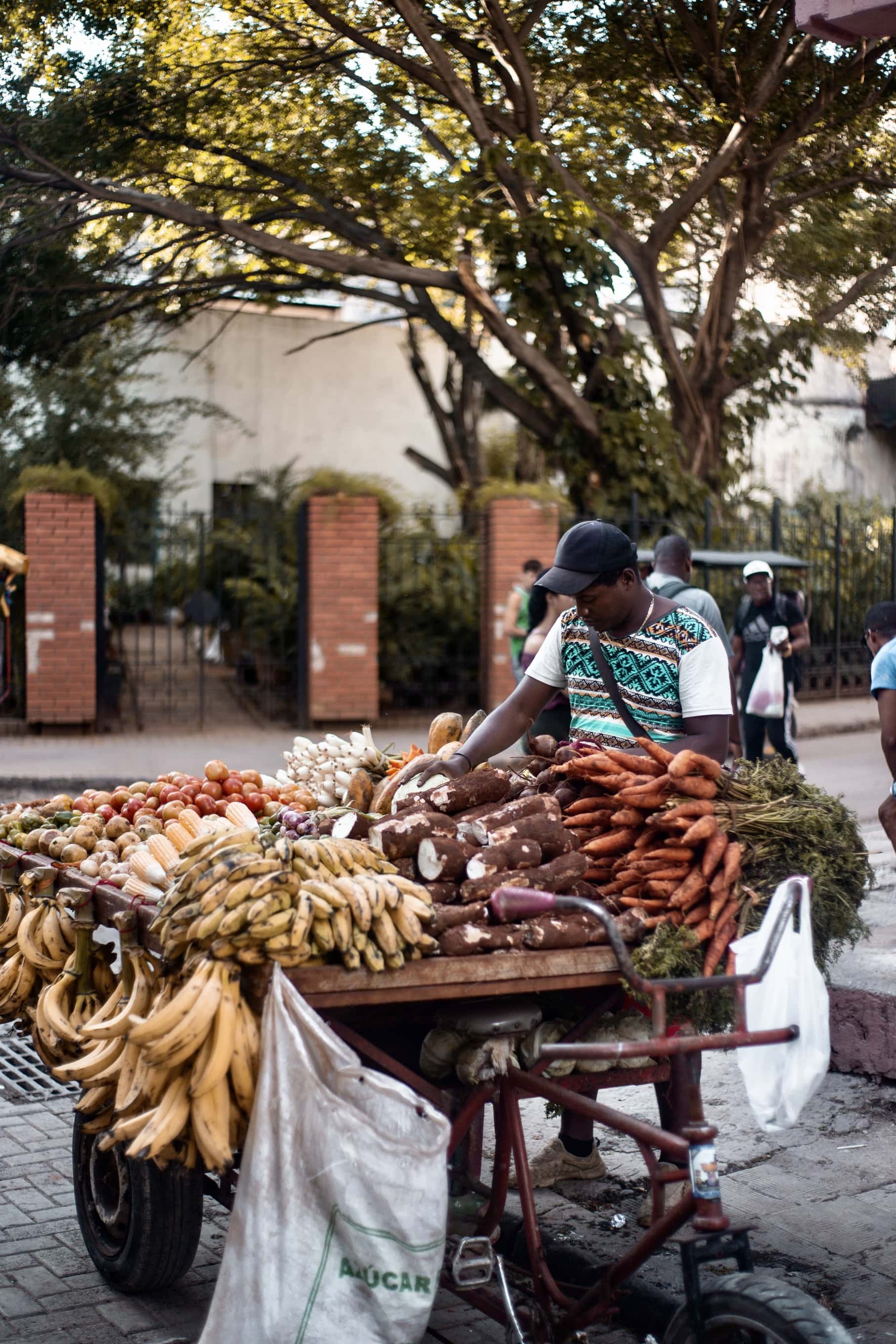 Havana street vendor