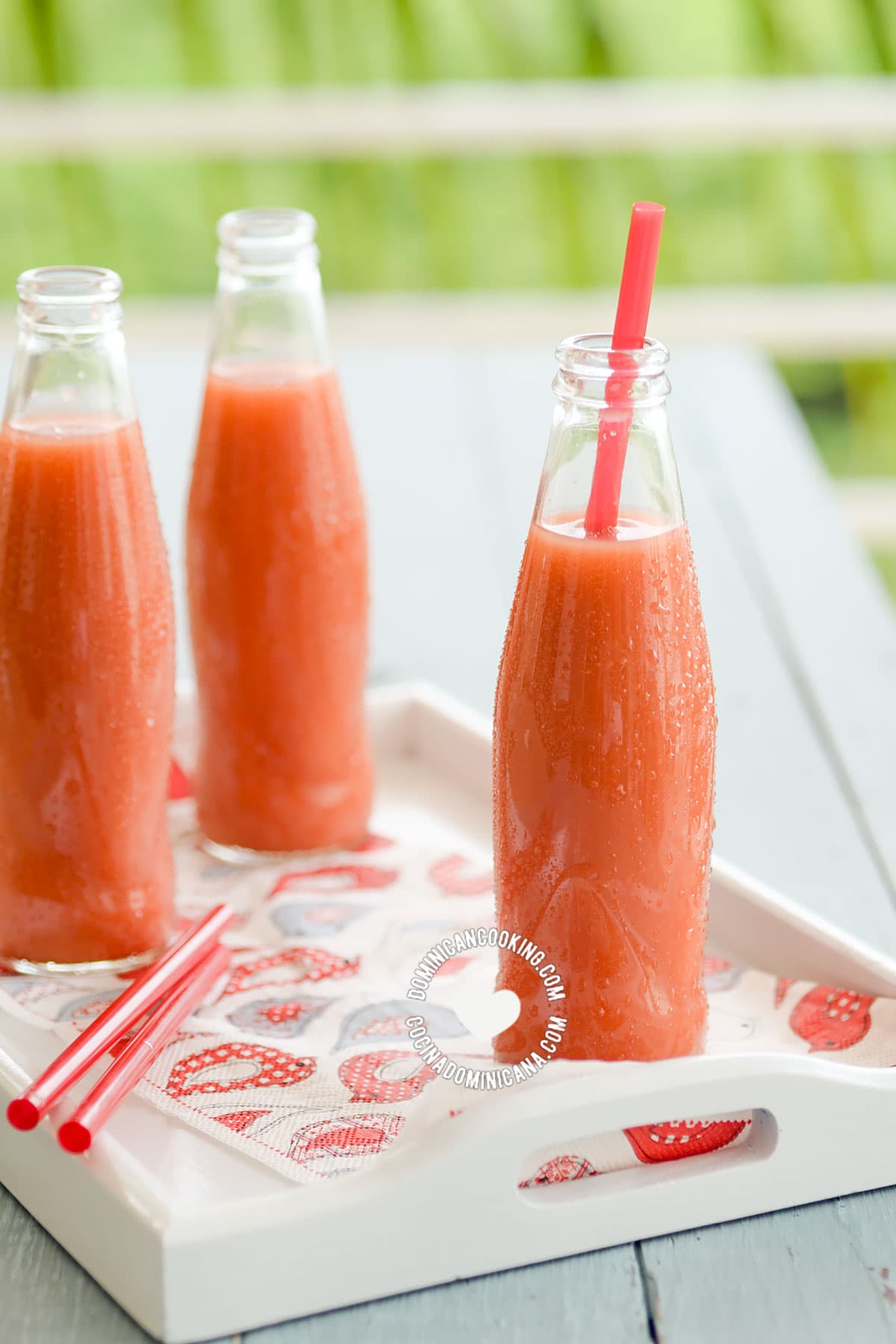 Jugo de Cereza Dominicana (Acerola Juice)