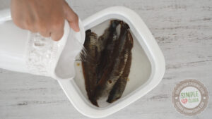 Soaking herring