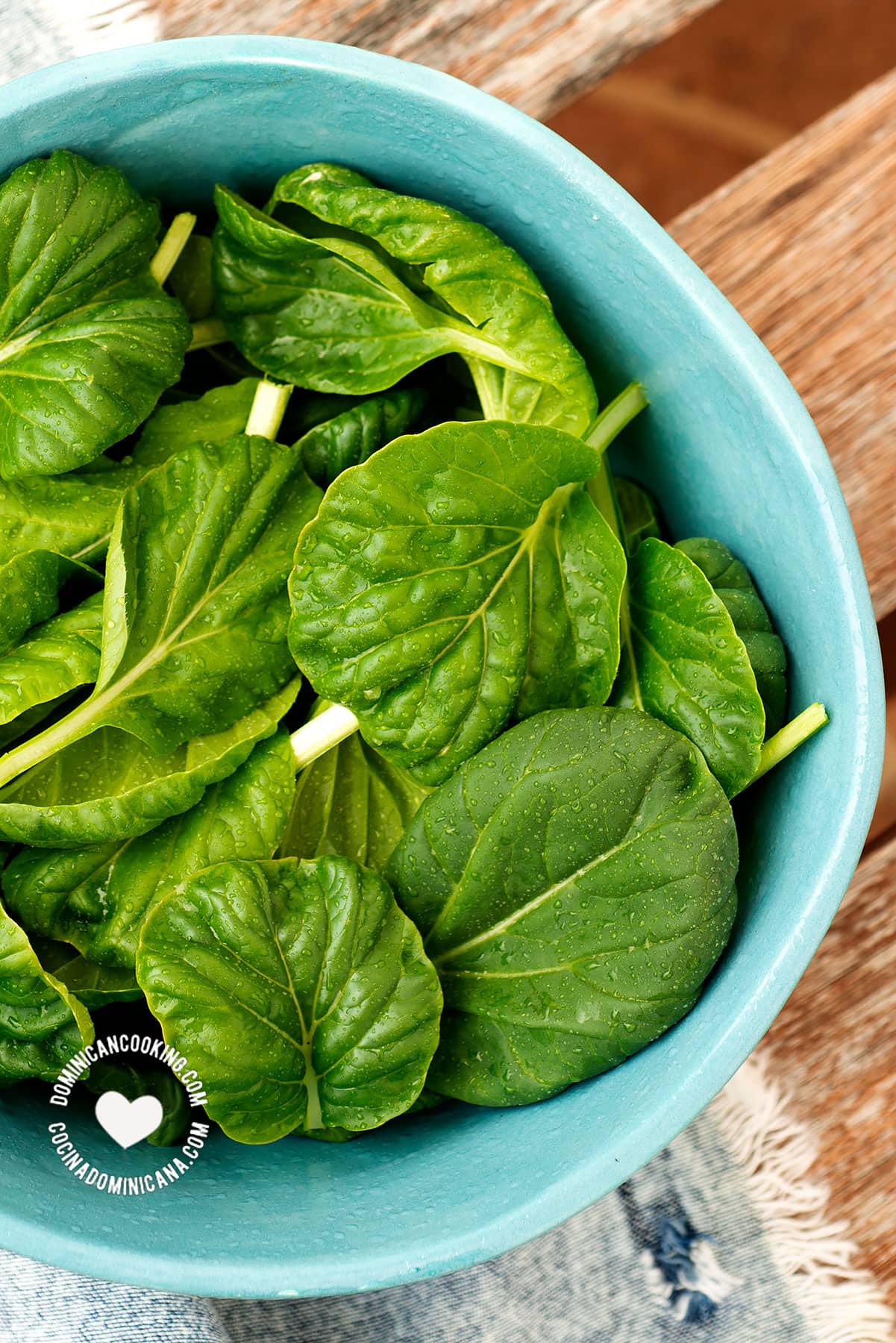 Bowl of baby spinach