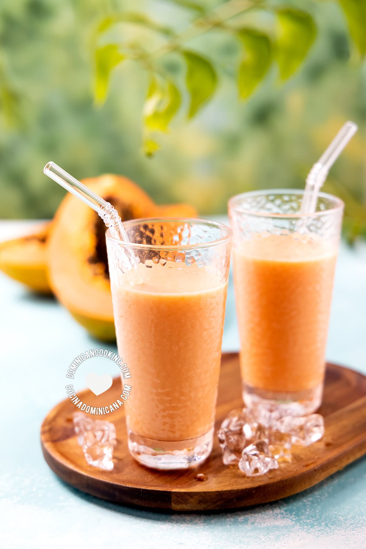 Papaya milkshake, batida de lechosa