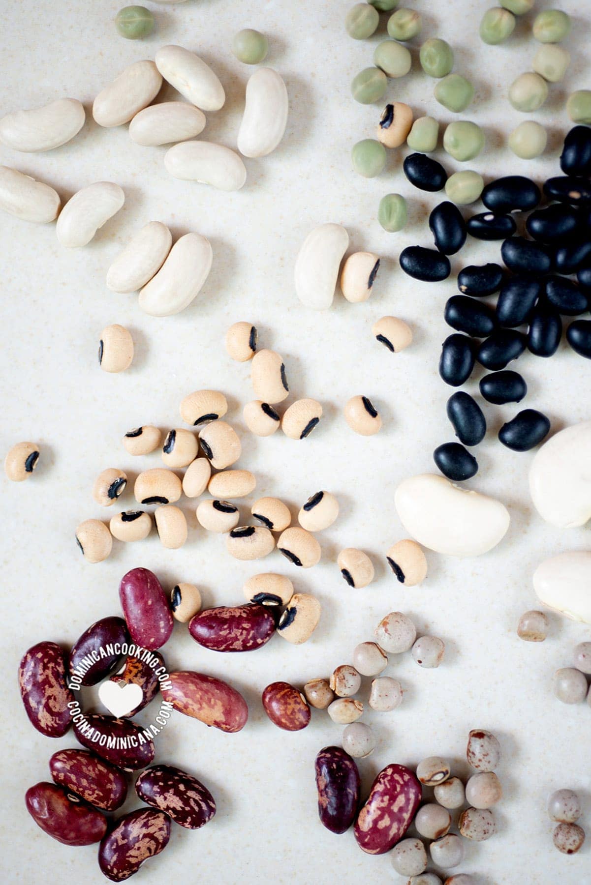 Different types of beans