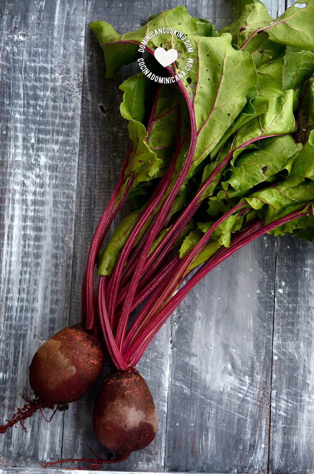 beetroot