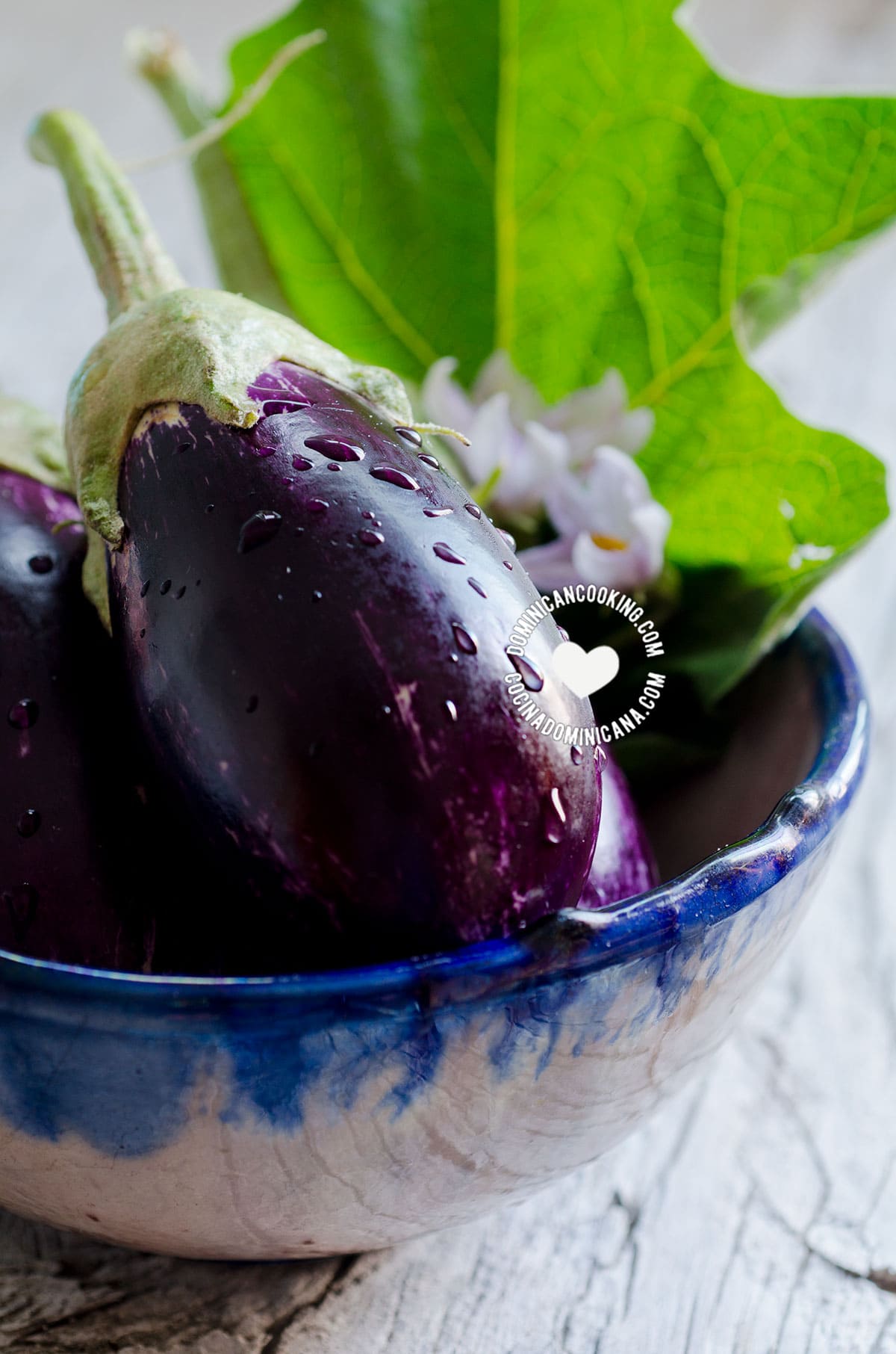 Eggplants