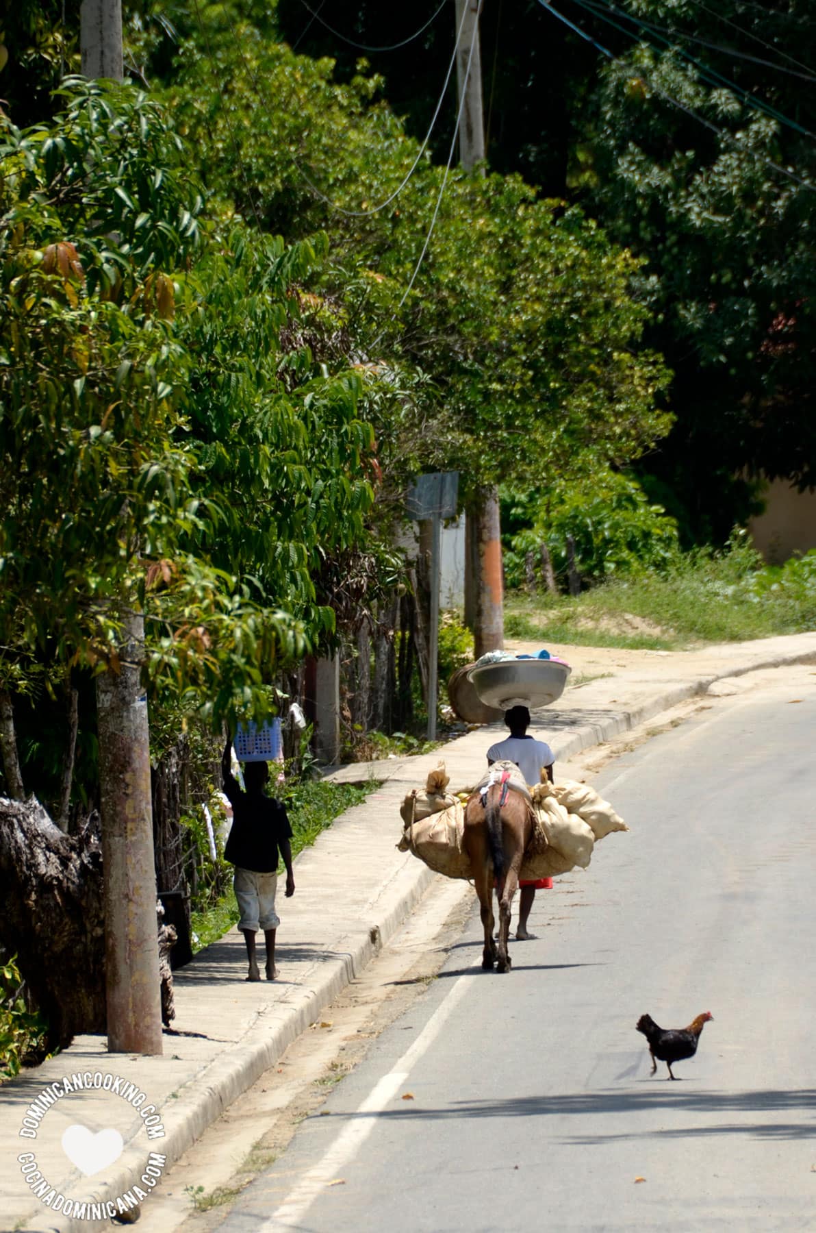 lady, child, and donkey carrying food products on the Dominican border