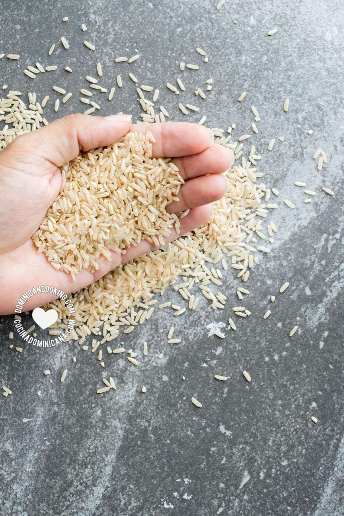 Handful of raw brown rice