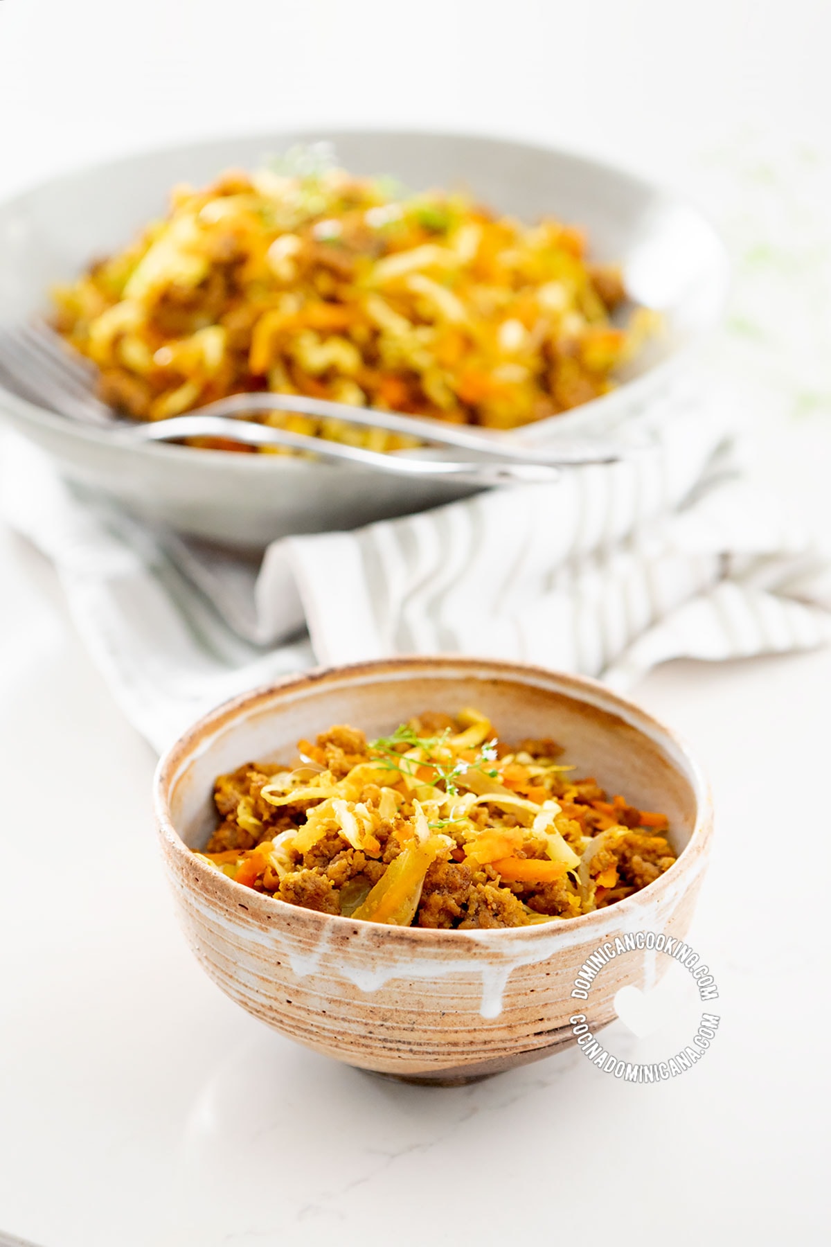 Bowl of Cabbage and Minced Meat