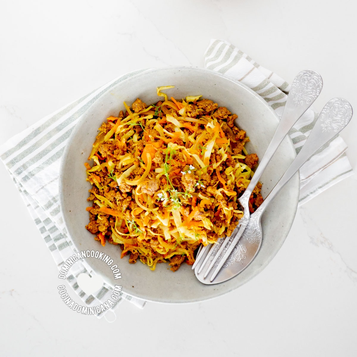 Plate of Cabbage and Minced Meat