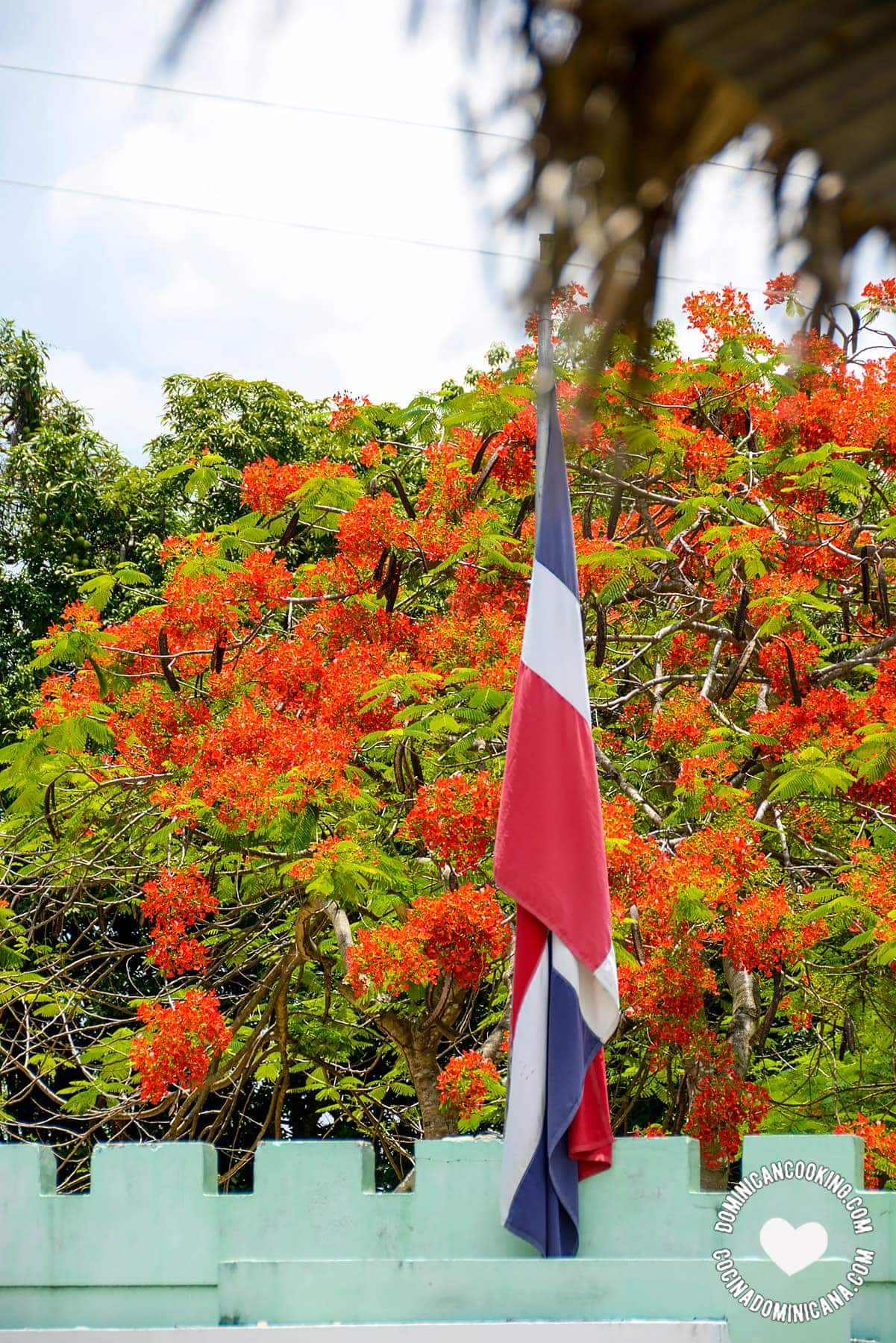 Capotillo police station, Dominican flag