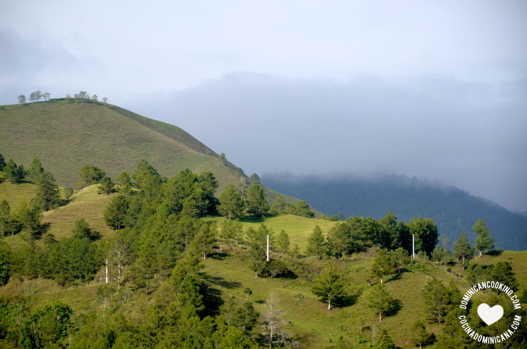 Constanza mountains