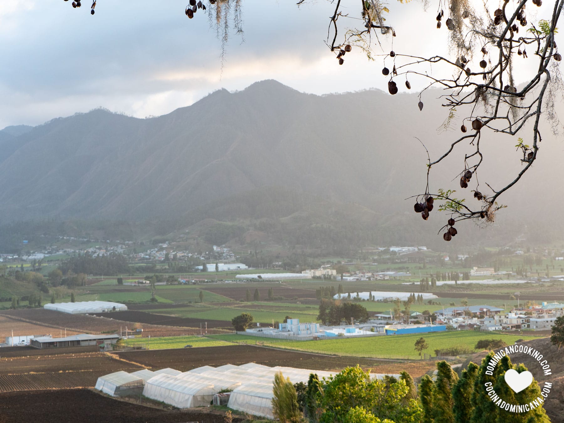 Solariums in Constanza