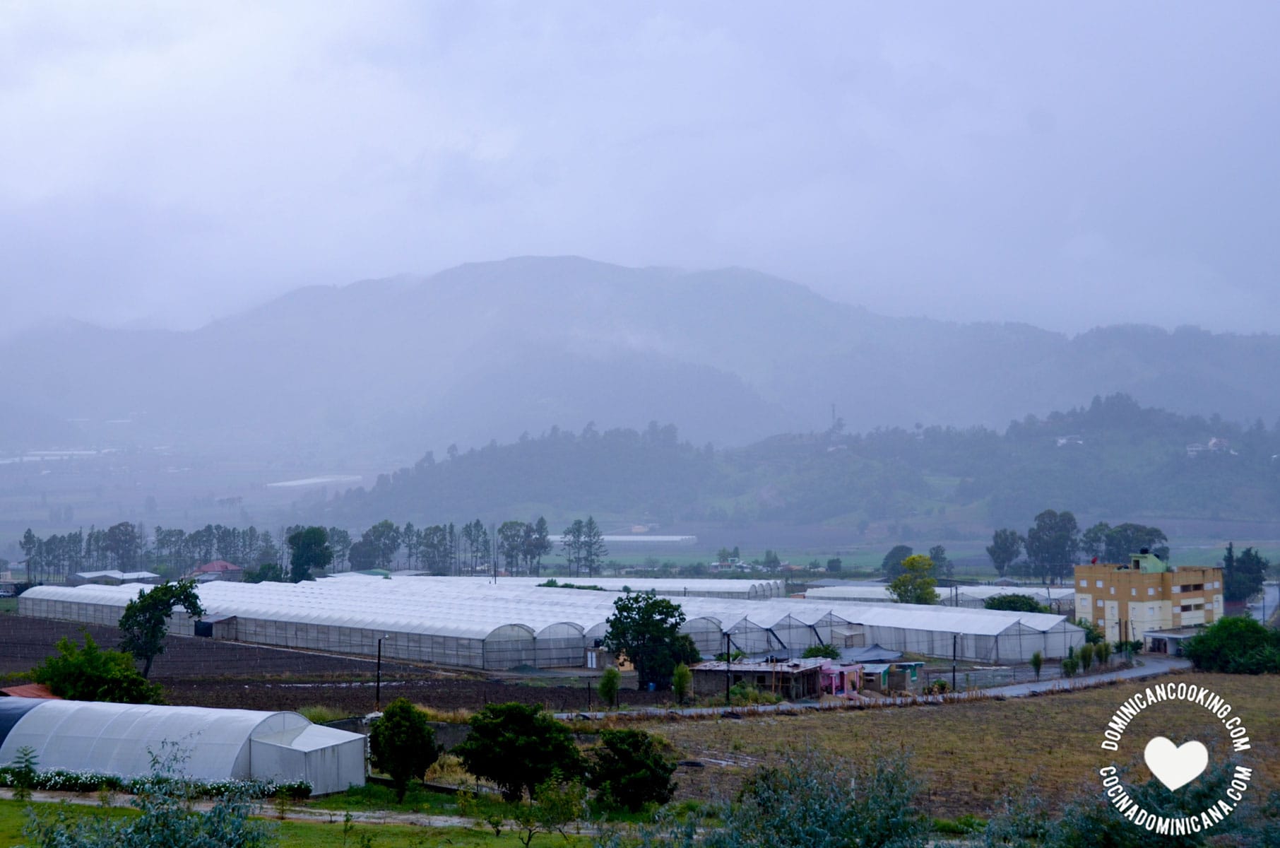 Solariums in Constanza