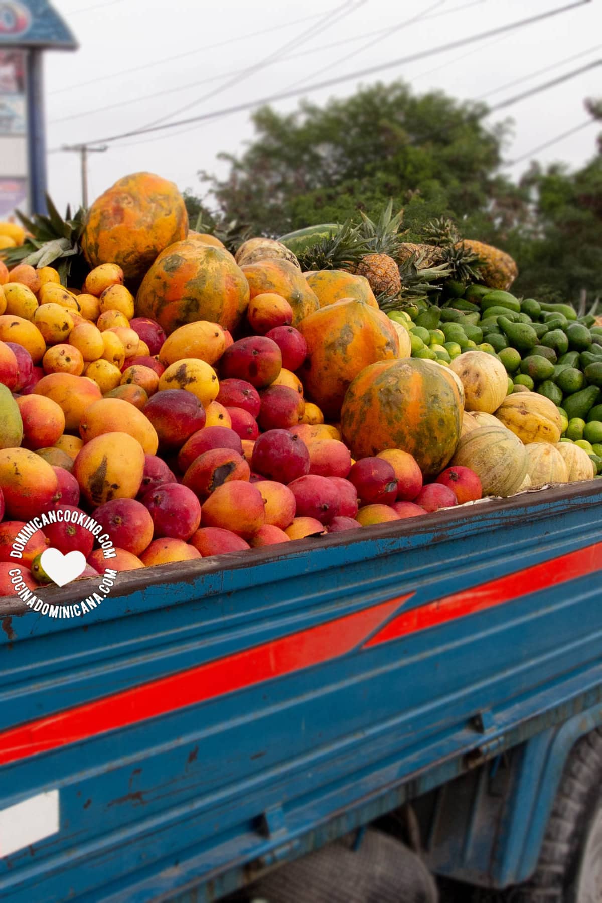 Dominican fruits