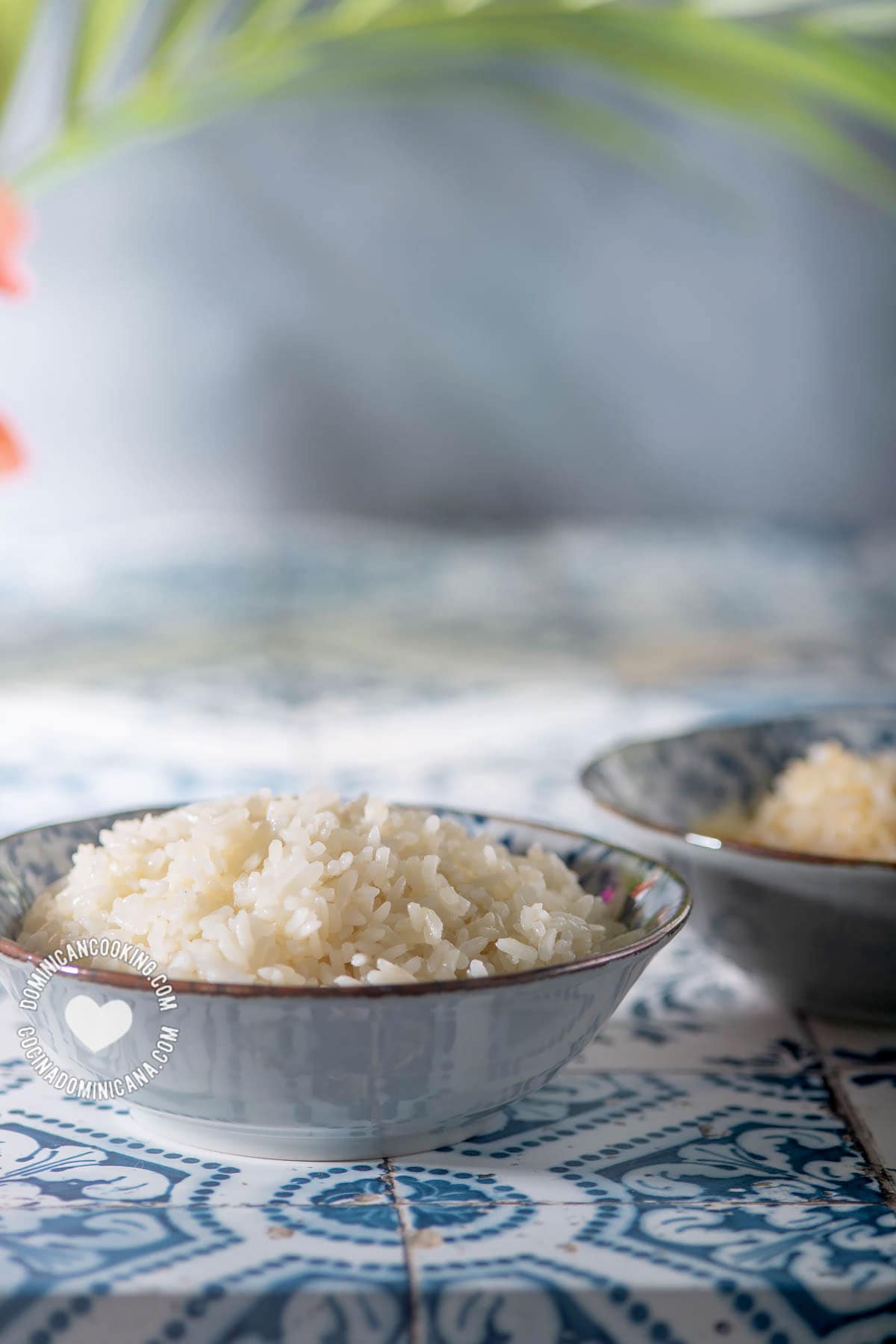 Arroz Blanco (White Rice)