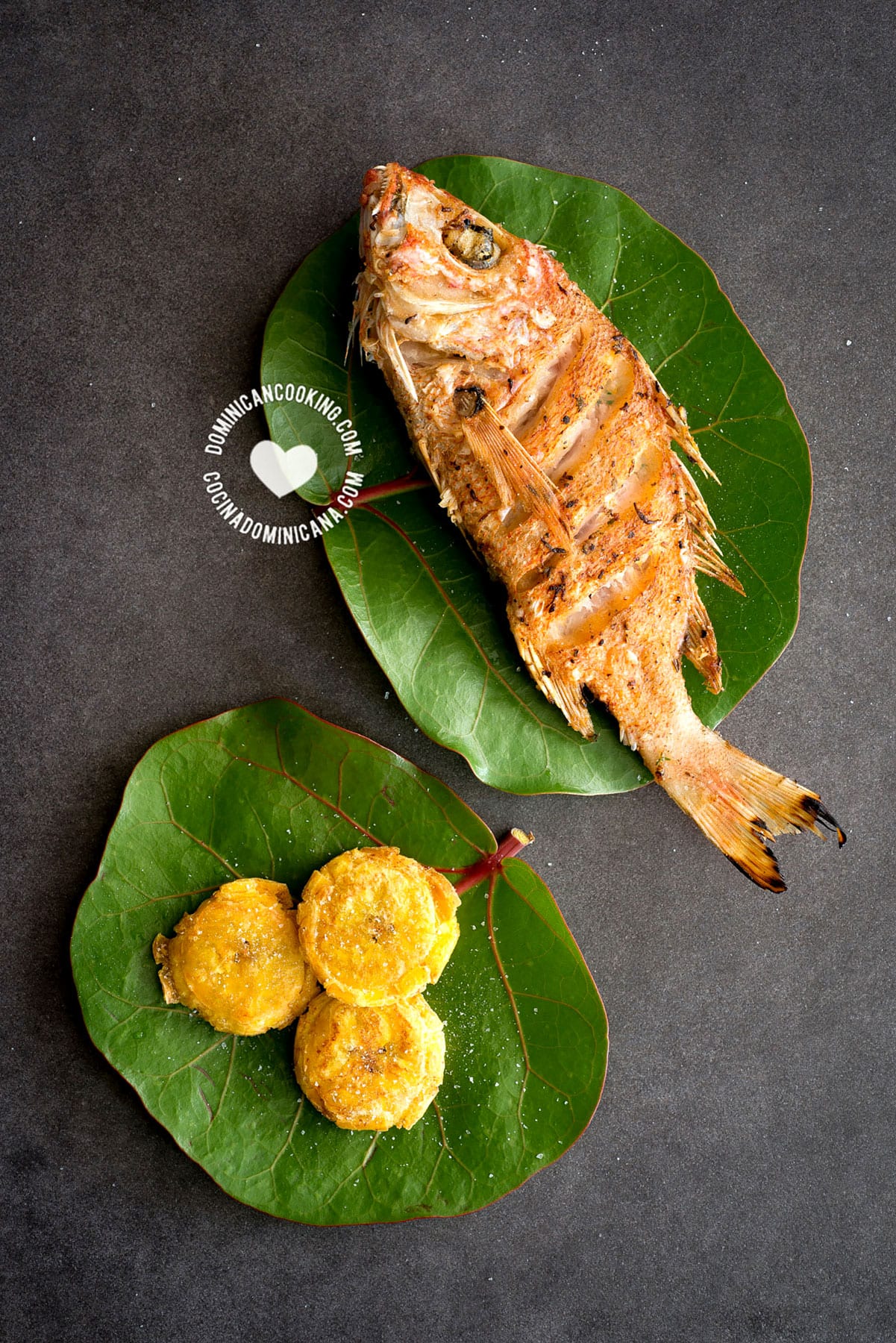 Fried Fish Recipe