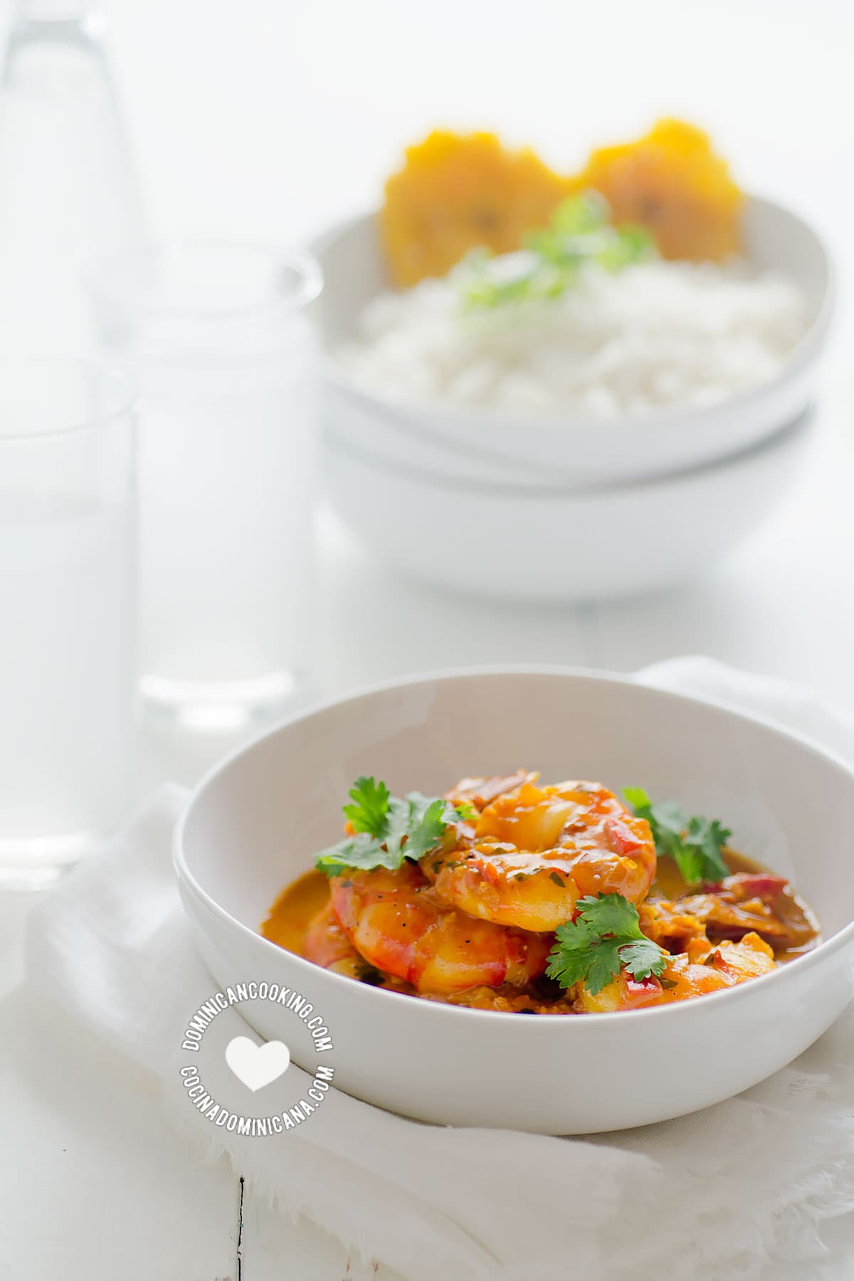 Shrimp with Coconut and Ginger Sauce with Rice and Tostones