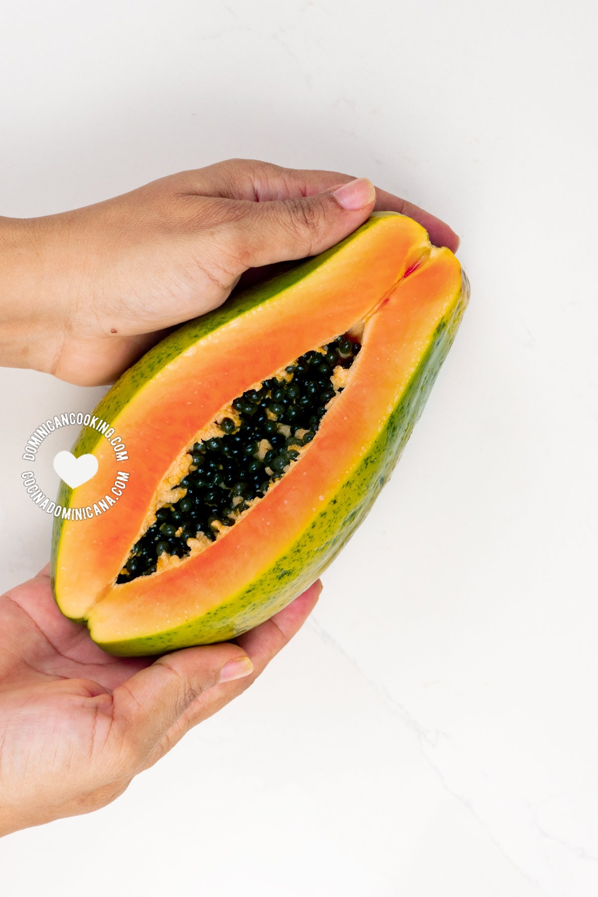 Hands holding unripe (green) papaya