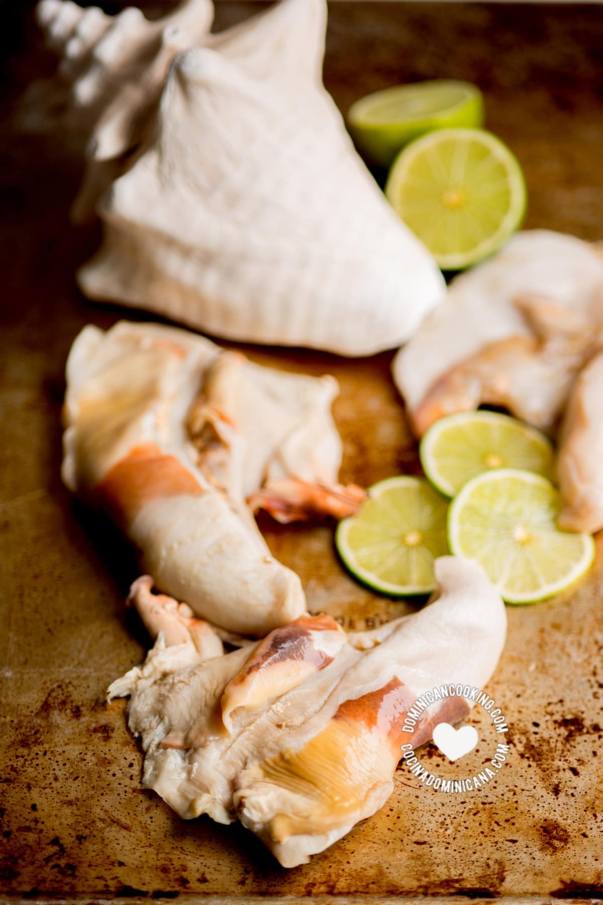 raw conch and shells with lime slices