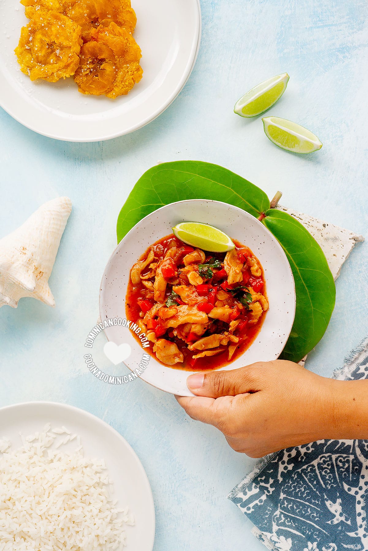 Lambí guisado (caribbean conch stew) served with rice and tostones, hand holding plate