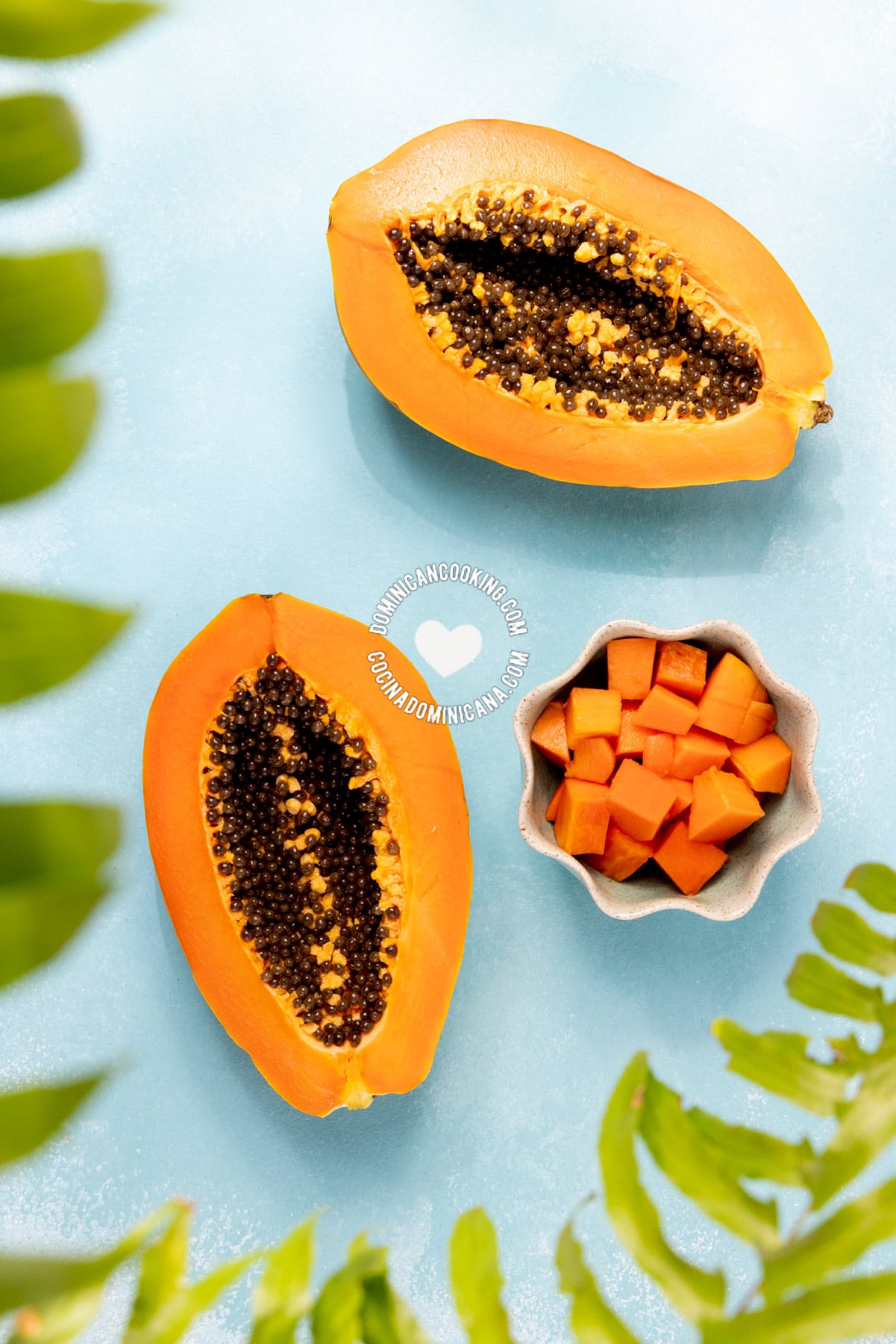 Papaya