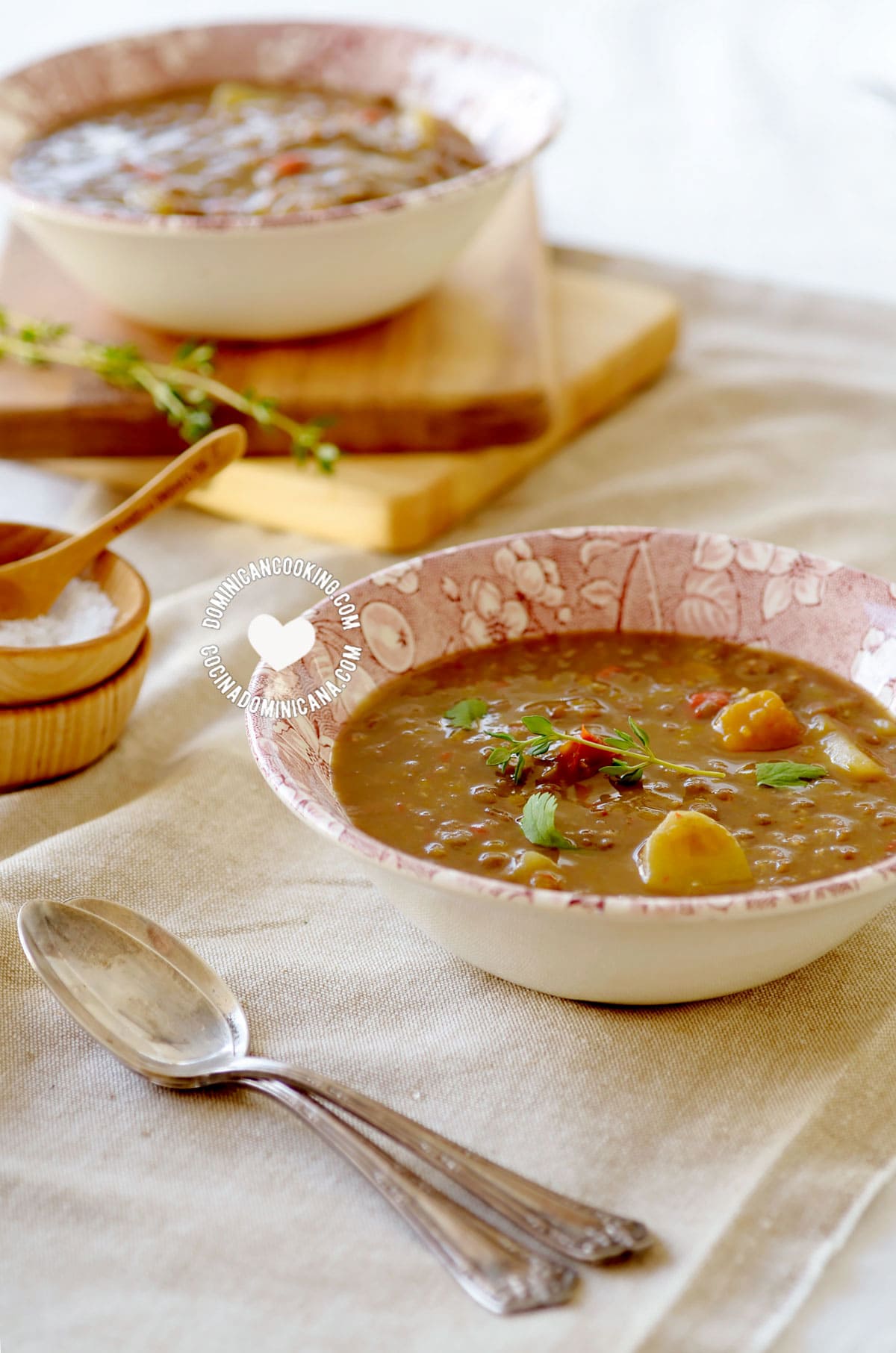 Vegan Lentil Stew