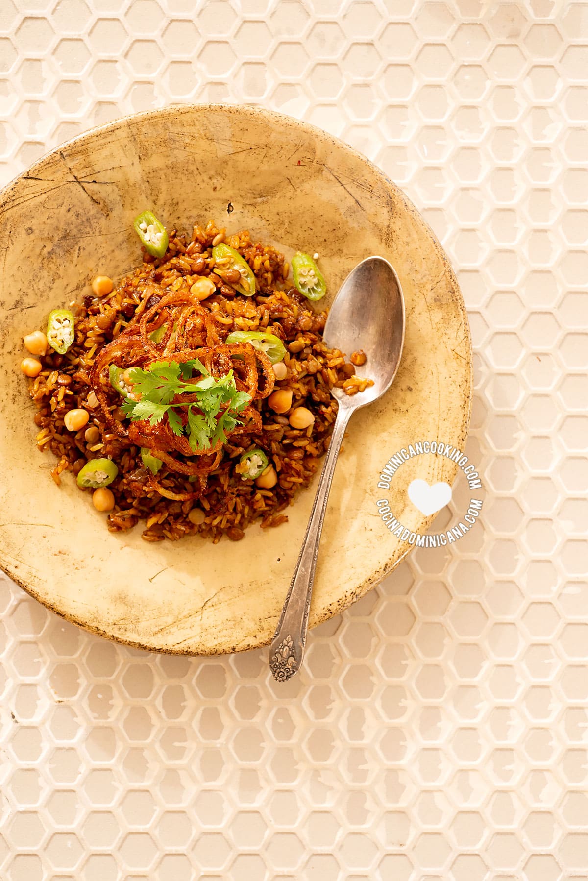 Mejadra - Rice with Lentils and Fried Onions