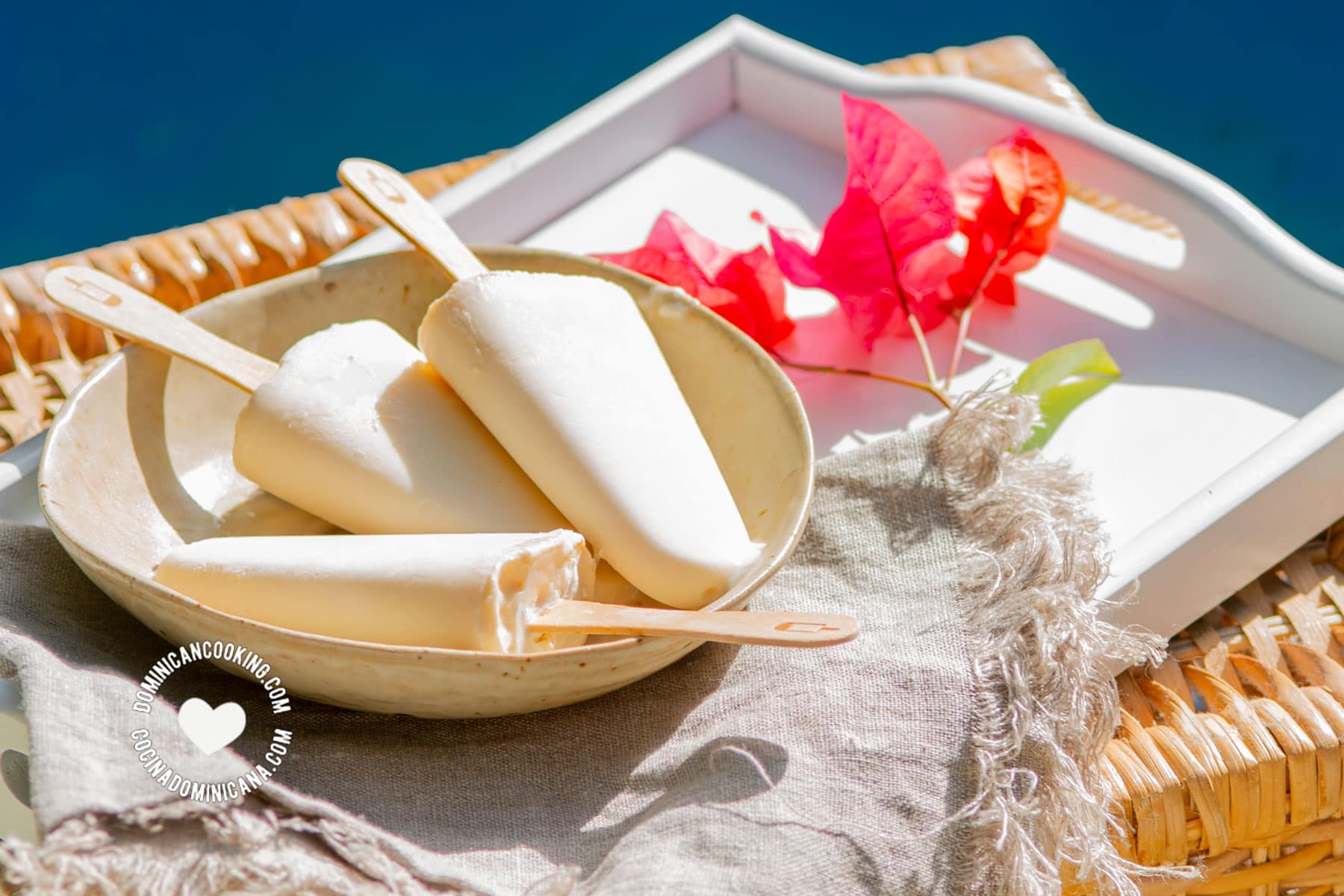 Paletas de Coco (Coconut Popsicles)