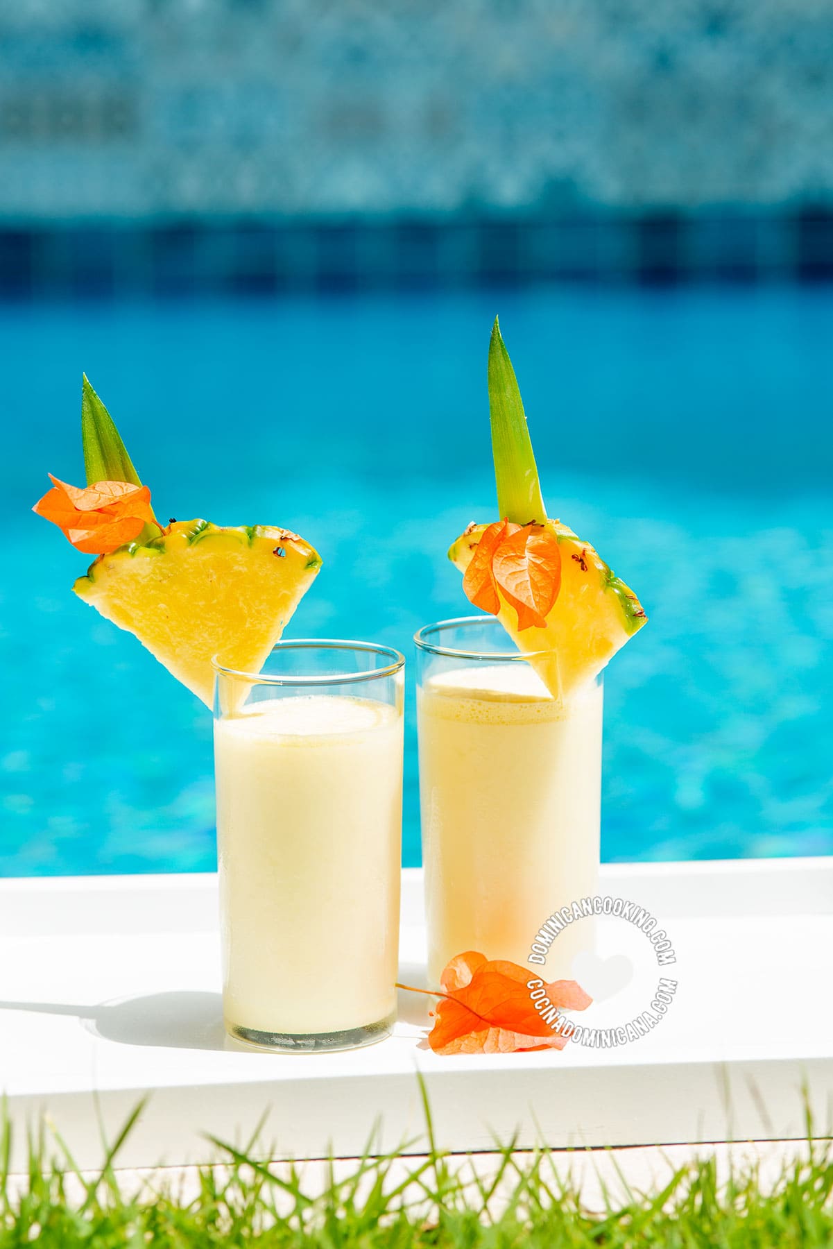 Piña Colada (Rum, Pineapple and Coconut Cocktail)