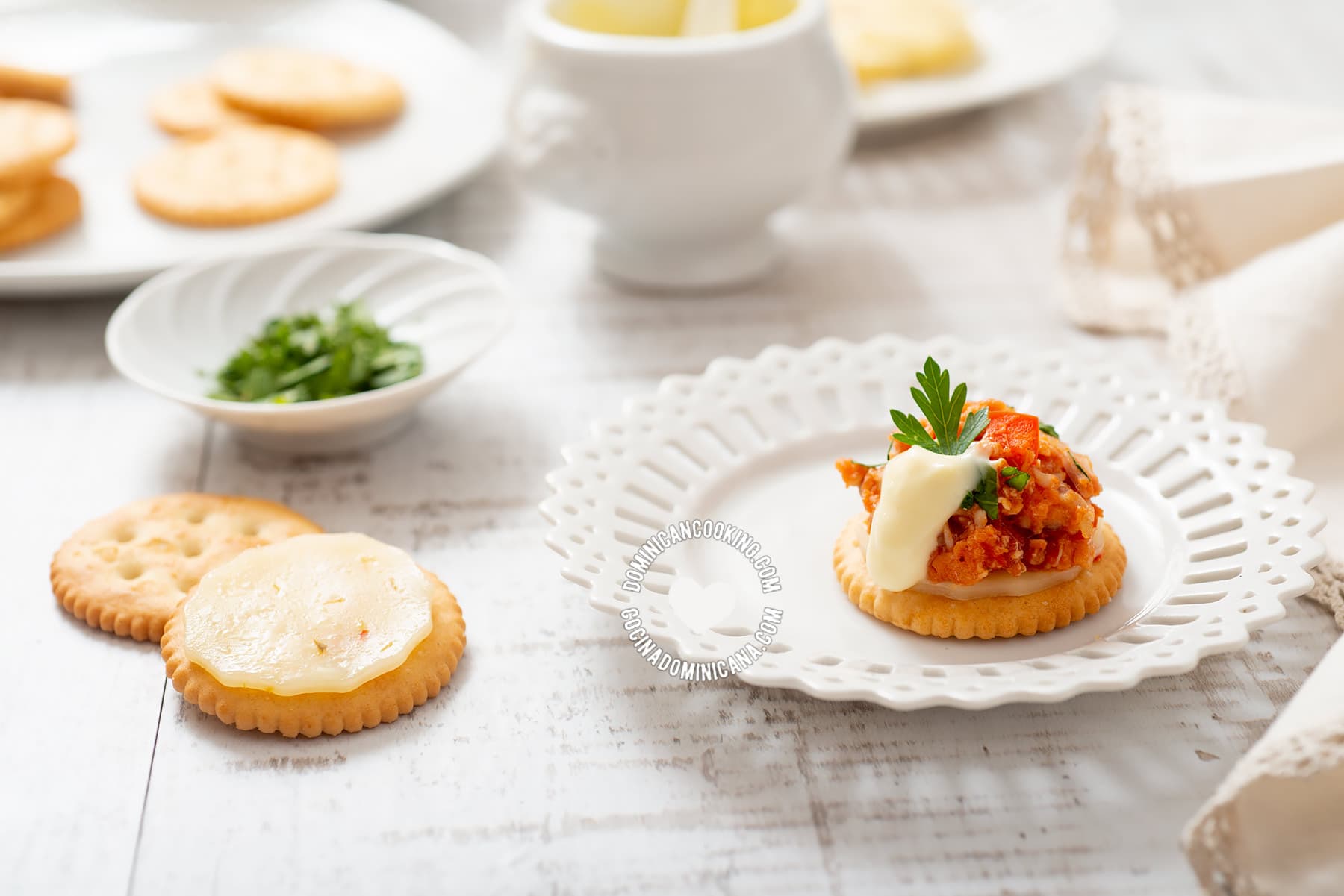 Snack cracker topped with cheese and chicken on plate