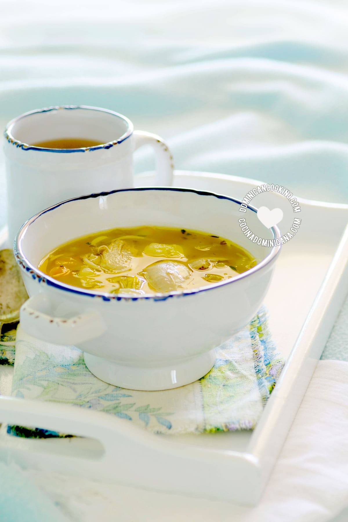 Caldo de Gallina Criolla o Pollo (A bowl of "old hen" or chicken Soup)