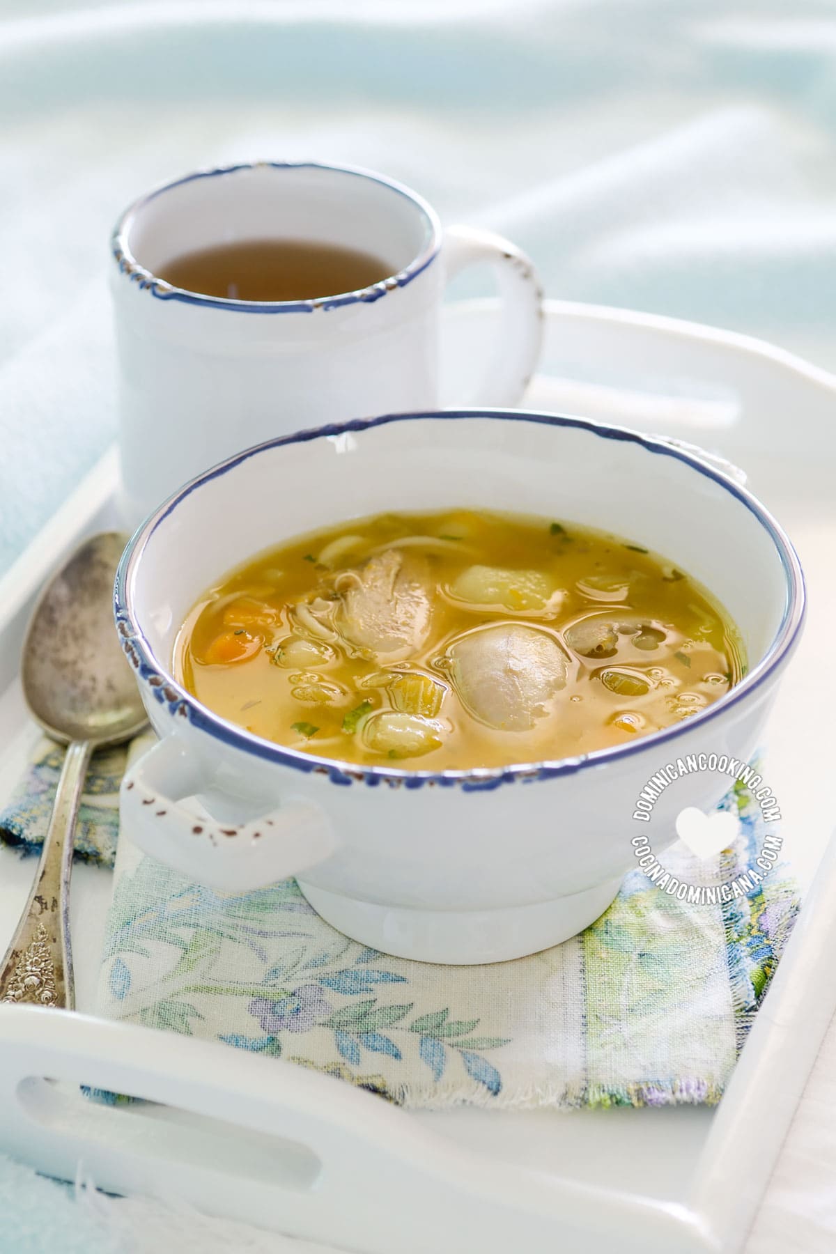 Caldo de Gallina Criolla o Pollo (A bowl of "old hen" or chicken Soup)