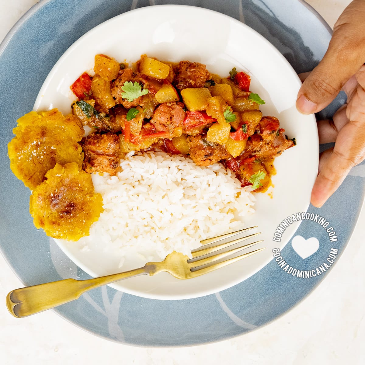 Tayota (chayote) guisado with rice and tostones