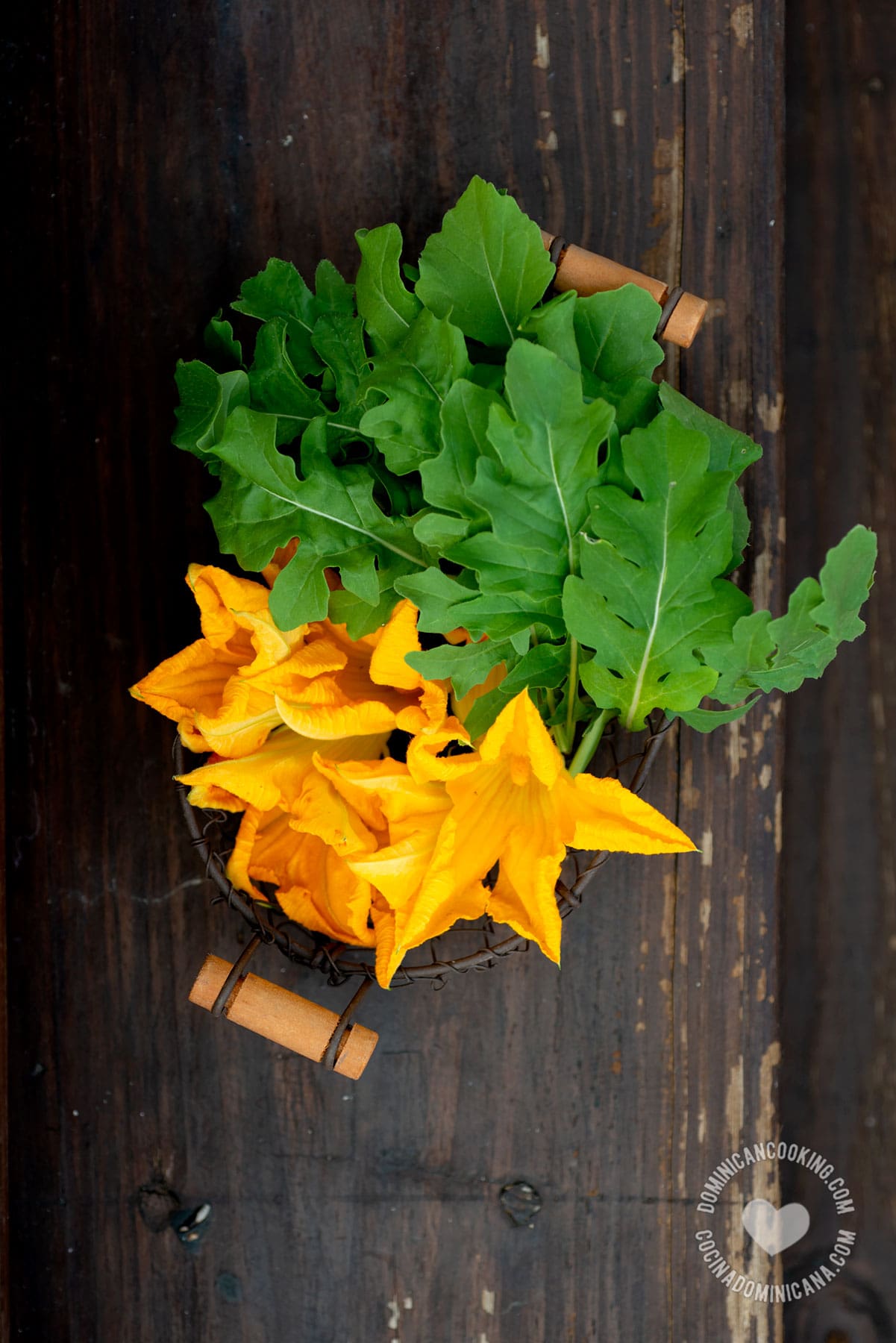 zucchini flowers